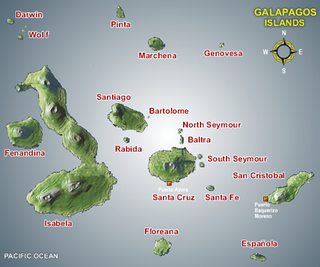 Graphics map of Galapagos Islands for tourists.