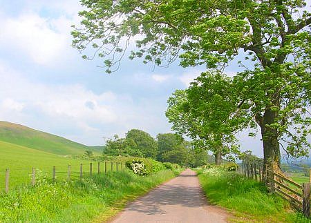 Detailed Street map of UK. Here's an English country road in all its brilliance.