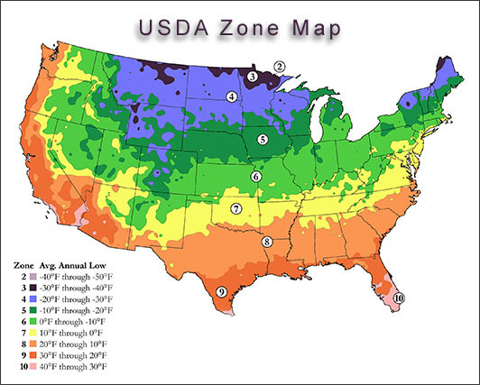 Climate maps United States average minimum temperatures in various zones.